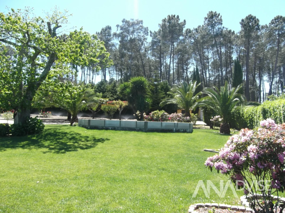 Quinta T6 para Venda em Fornos de Maceira Dão Foto 1