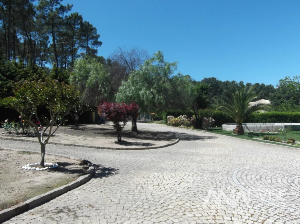 Quinta T6 para Venda em Fornos de Maceira Dão Foto 8