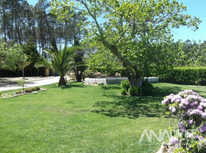 Quinta T6 para Venda em Fornos de Maceira Dão Foto 5
