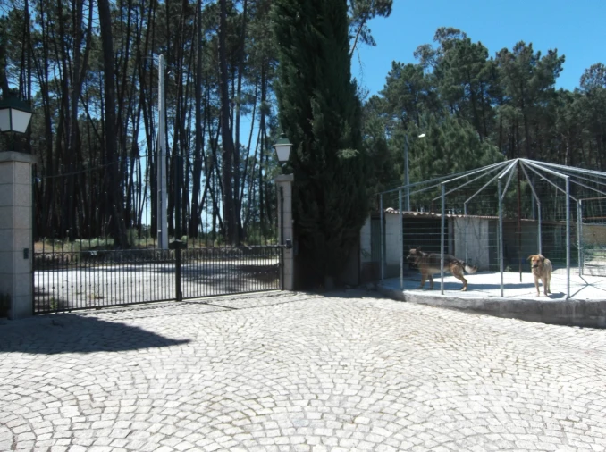 Quinta T6 para Venda em Fornos de Maceira Dão Foto 10