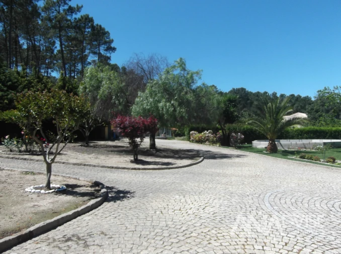 Quinta T6 para Venda em Fornos de Maceira Dão Foto 8