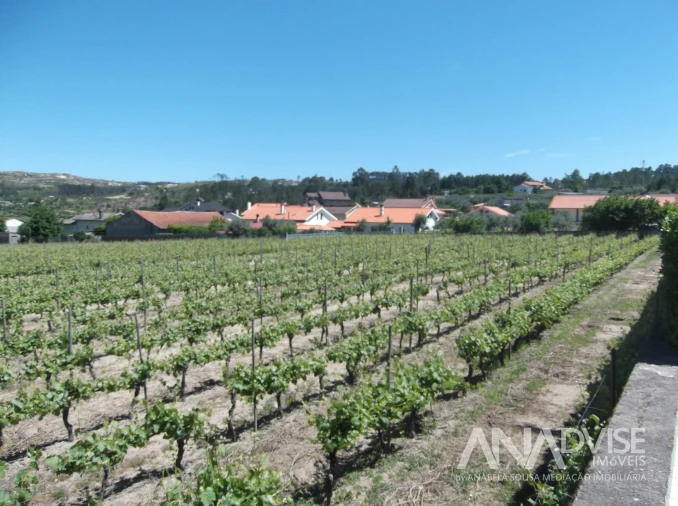 Quinta T6 para Venda em Fornos de Maceira Dão Foto 6