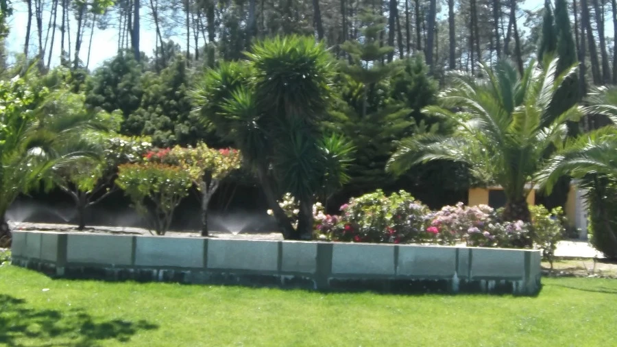 Quinta T6 para Venda em Fornos de Maceira Dão