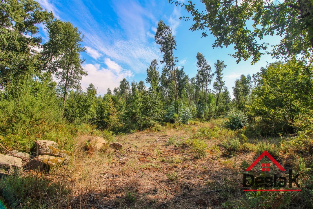 Terreno para Venda em Serrazes Foto 3