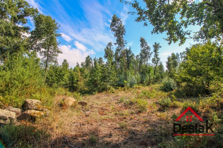 Terreno para Venda em Serrazes Foto 3