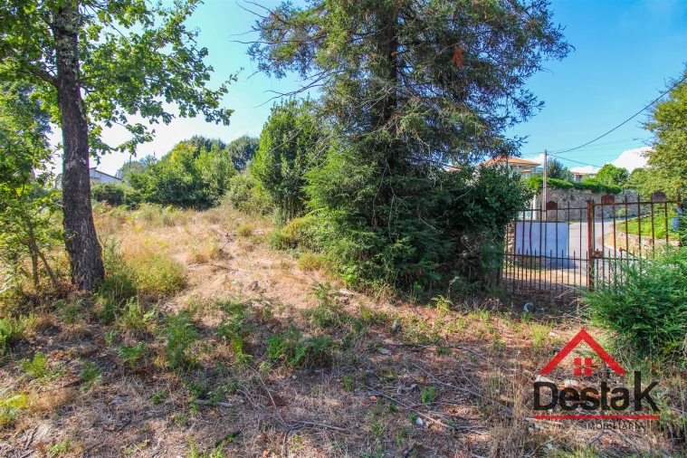 Terreno para Venda em Serrazes Foto 5