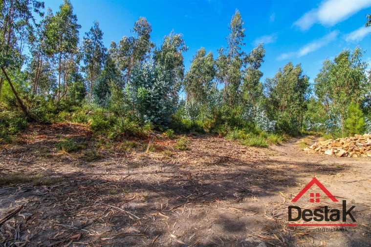 Terreno para Venda em Serrazes Foto 8