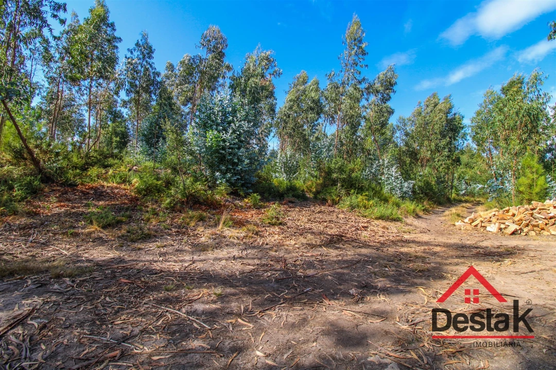 Terreno para Venda em Serrazes Foto 8