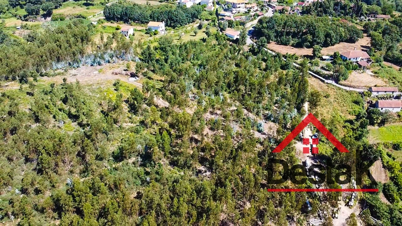 Terreno para Venda em Serrazes Foto 12