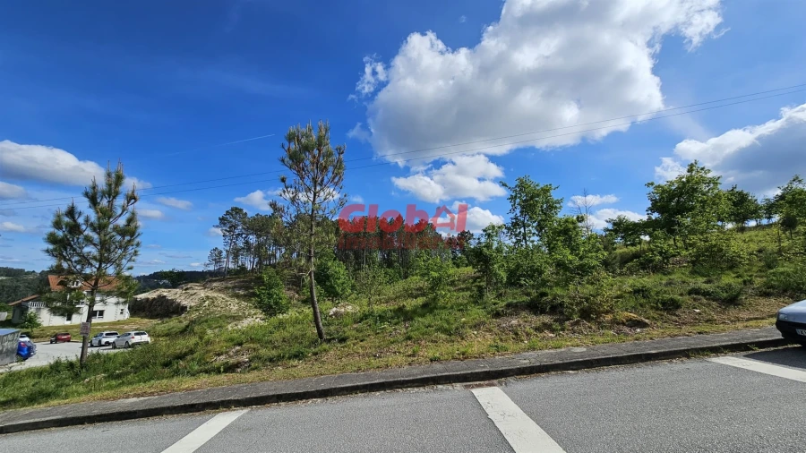 Terreno para Venda em Mões Foto 2