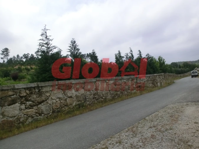 Quinta T0 para Venda em Fornos de Maceira Dão Foto 3