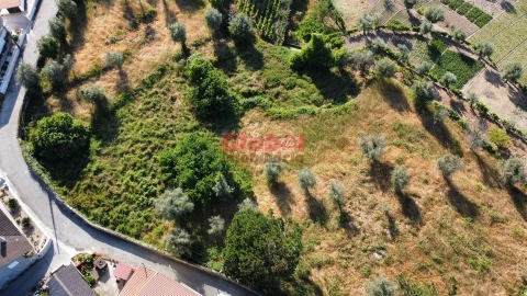Terreno para Venda em Silgueiros