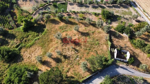 Terreno para Venda em Silgueiros