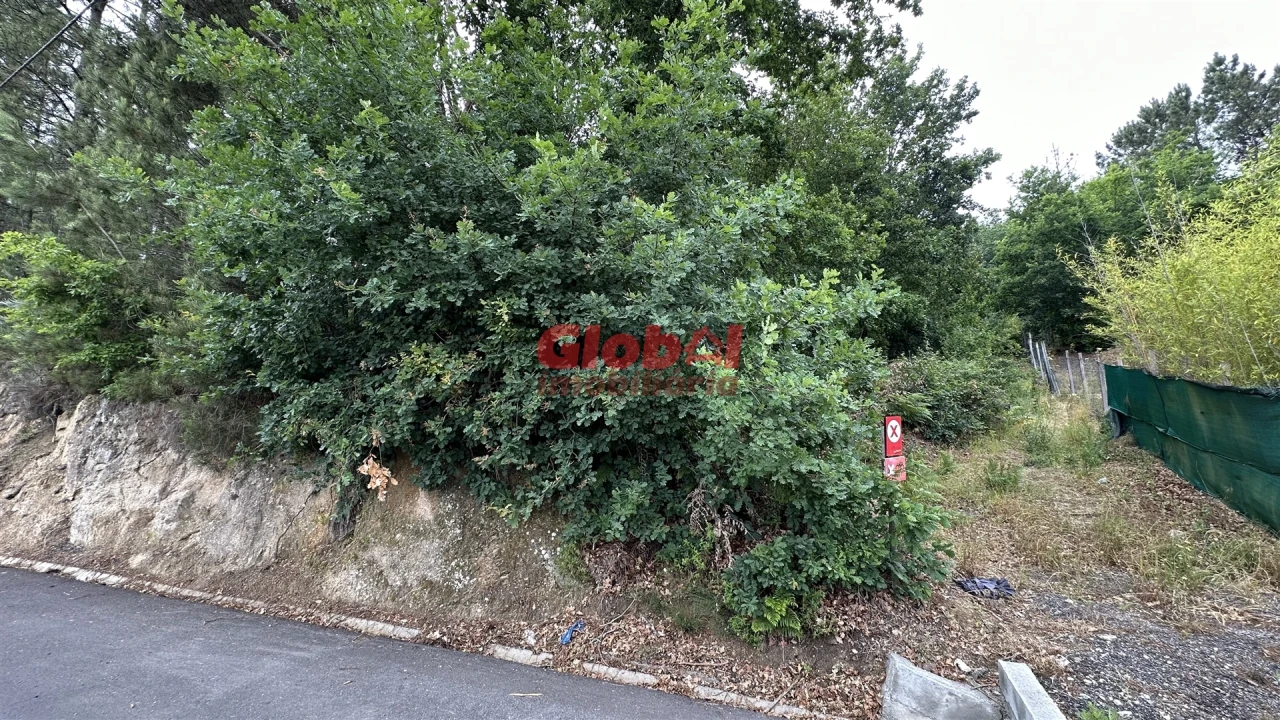 Terreno para Venda em Santos Evos Foto 3