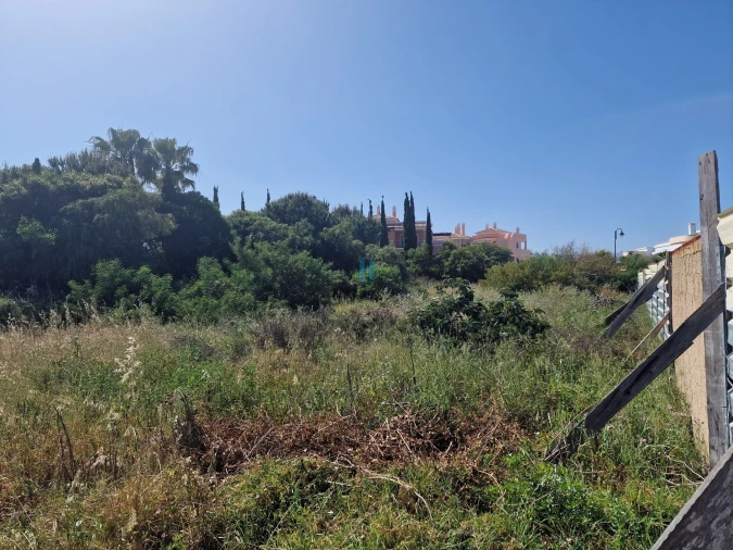 Terreno para Venda em Lagos (São Sebastião e Santa Maria) Foto 3