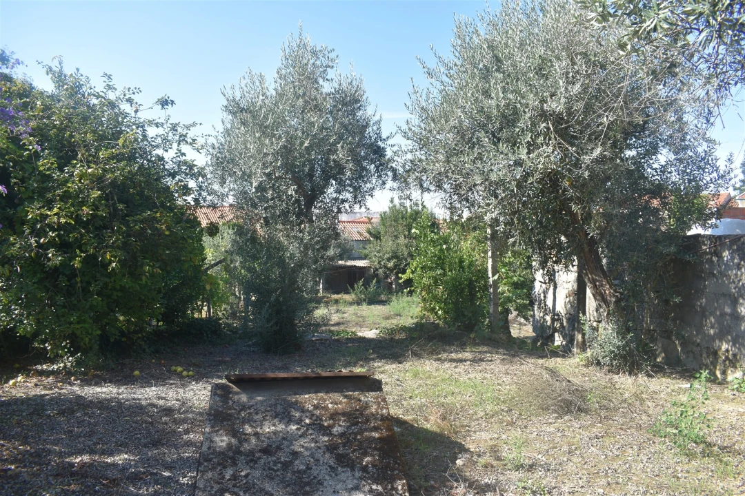 Moradia T0 para Venda em Rio de Loba Foto 6