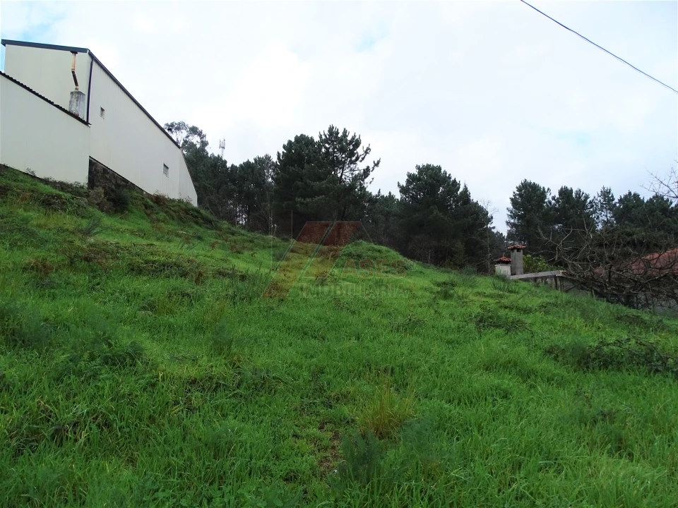 Terreno para Venda em Fafe Foto 5