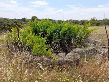 Terreno Agricola ou Rústico para Venda em Alcains
