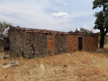 Terreno Agricola ou Rústico para Venda em Alcains