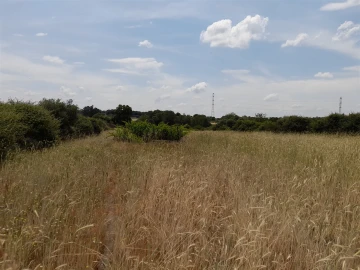 Terreno Agricola ou Rústico para Venda em Alcains