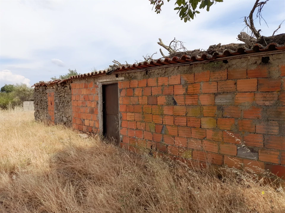 Terreno Agricola ou Rústico para Venda em Alcains Foto 8