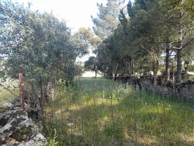 Terreno Agricola ou Rústico para Venda em Alcains Foto 2