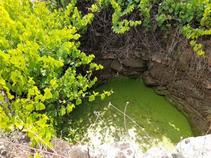 Terreno Agricola ou Rústico para Venda em Alcains Foto 5