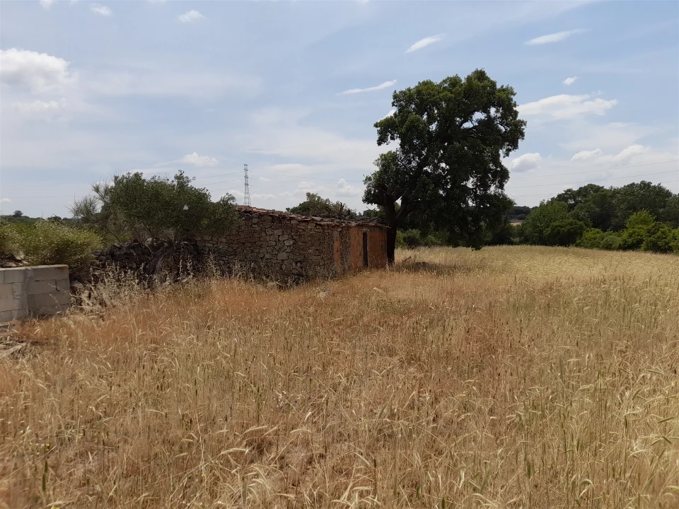 Terreno Agricola ou Rústico para Venda em Alcains Foto 6
