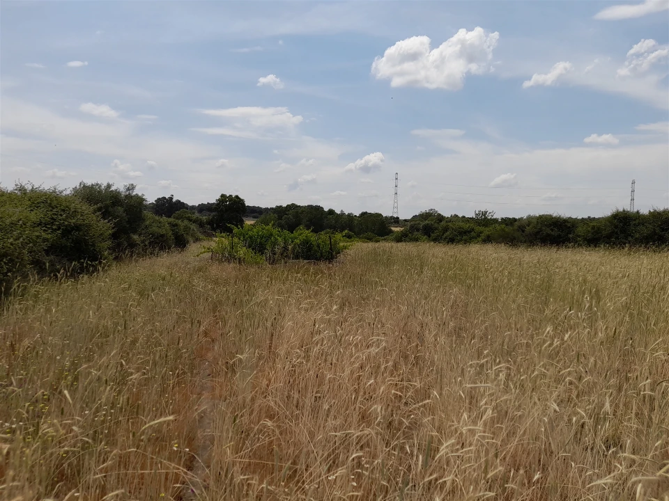 Terreno Agricola ou Rústico para Venda em Alcains Foto 4