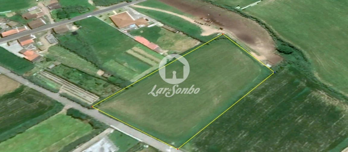 Terreno para Venda em Ginetes Foto 4