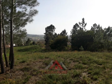 Terreno para Venda em Santa Eufémia e Boa Vista