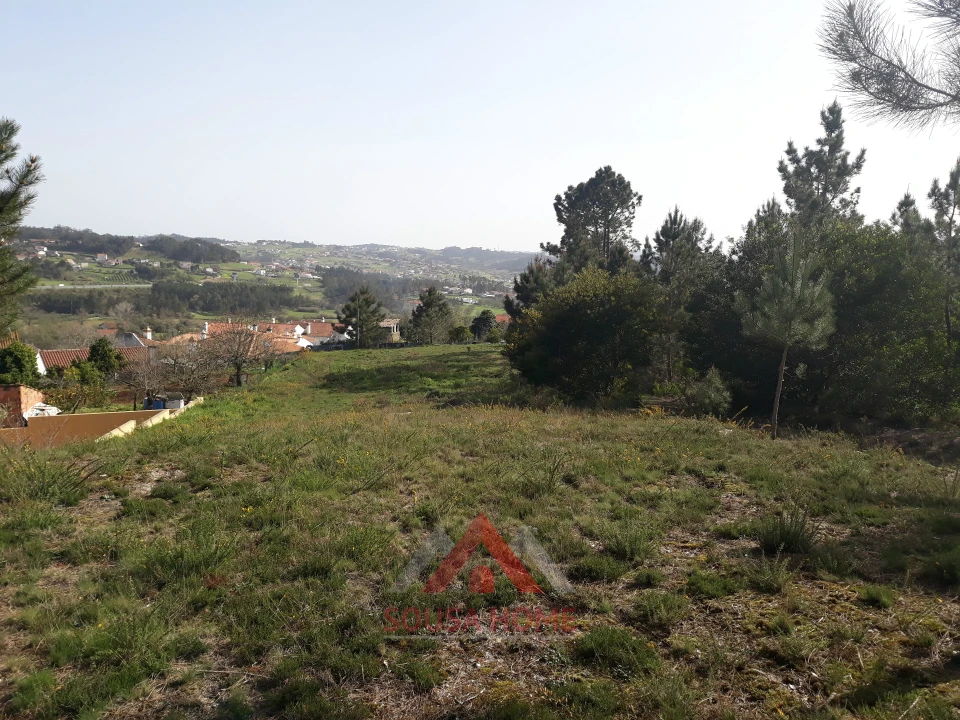 Terreno para Venda em Santa Eufémia e Boa Vista Foto 6