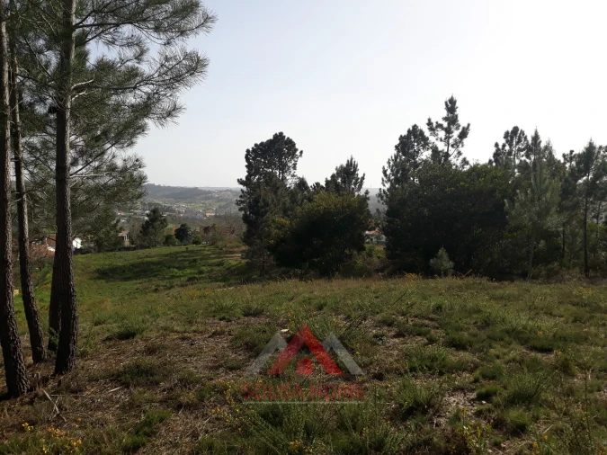 Terreno para Venda em Santa Eufémia e Boa Vista Foto 8