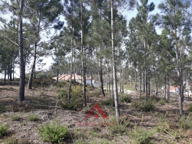 Terreno para Venda em Santa Eufémia e Boa Vista Foto 9