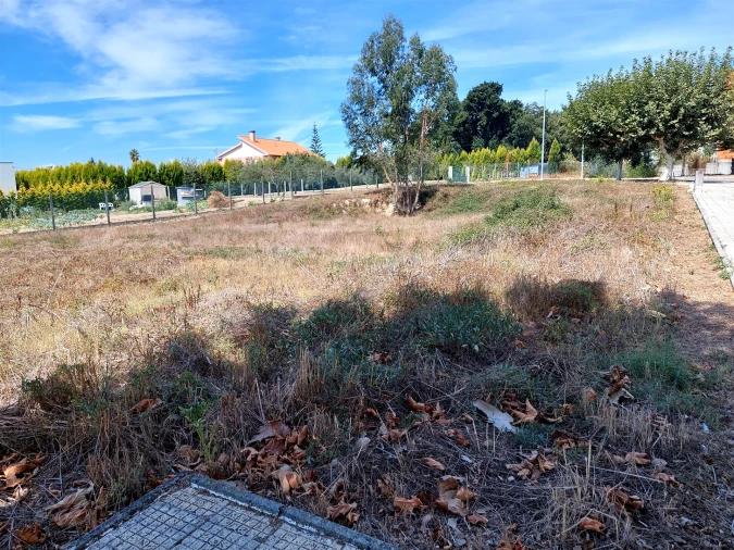 Terreno para Venda em Currelos, Papízios e Sobral Foto 6