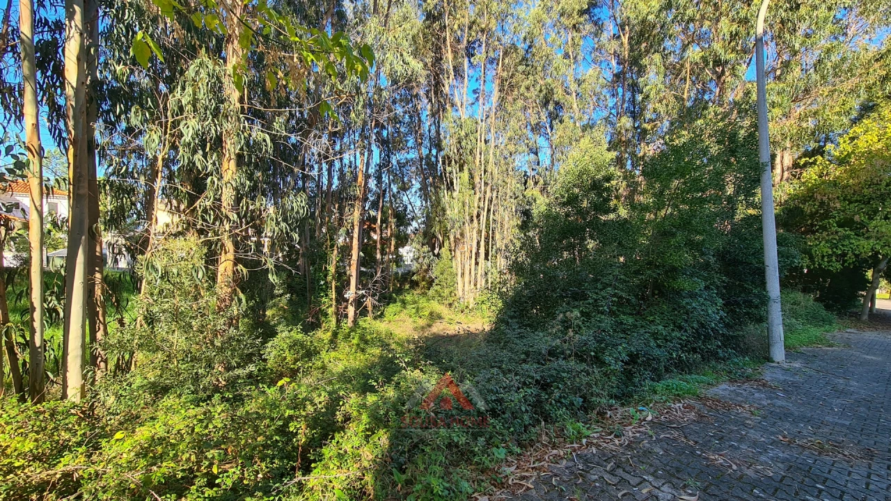 Terreno para Venda em Leiria, Pousos, Barreira e Cortes Foto 13