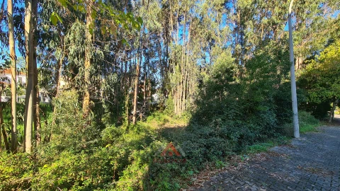 Terreno para Venda em Leiria, Pousos, Barreira e Cortes
