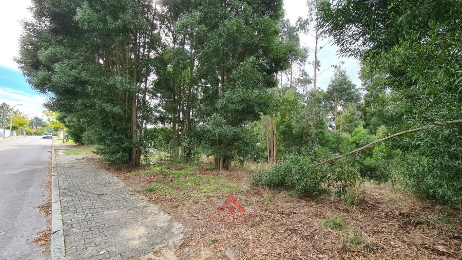 Terreno para Venda em Leiria, Pousos, Barreira e Cortes Foto 21