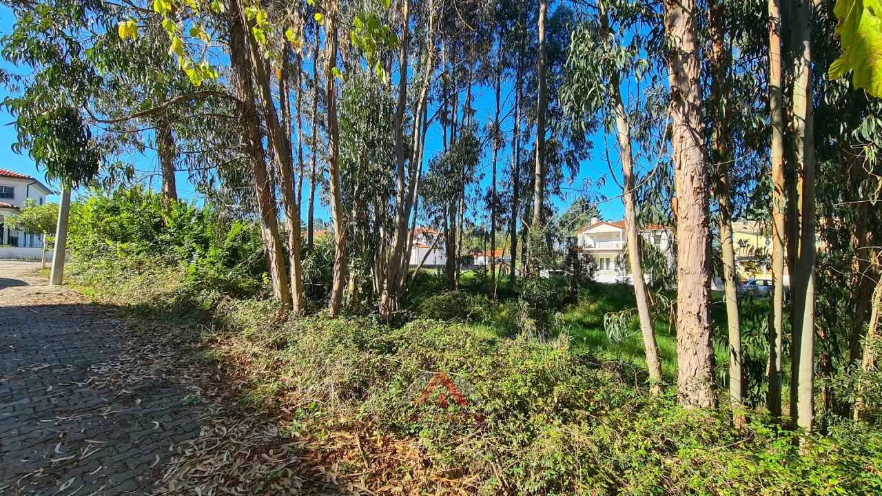 Terreno para Venda em Leiria, Pousos, Barreira e Cortes Foto 16