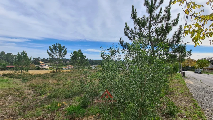 Terreno para Venda em Leiria, Pousos, Barreira e Cortes Foto 25