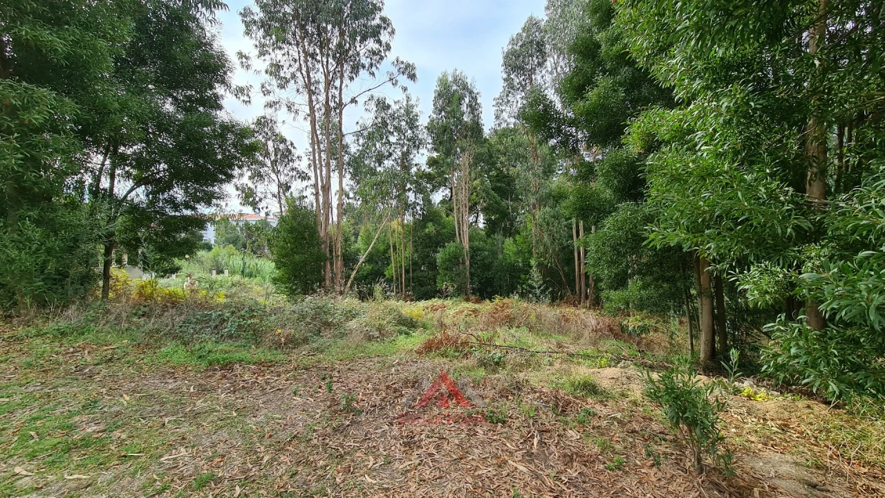 Terreno para Venda em Leiria, Pousos, Barreira e Cortes Foto 22