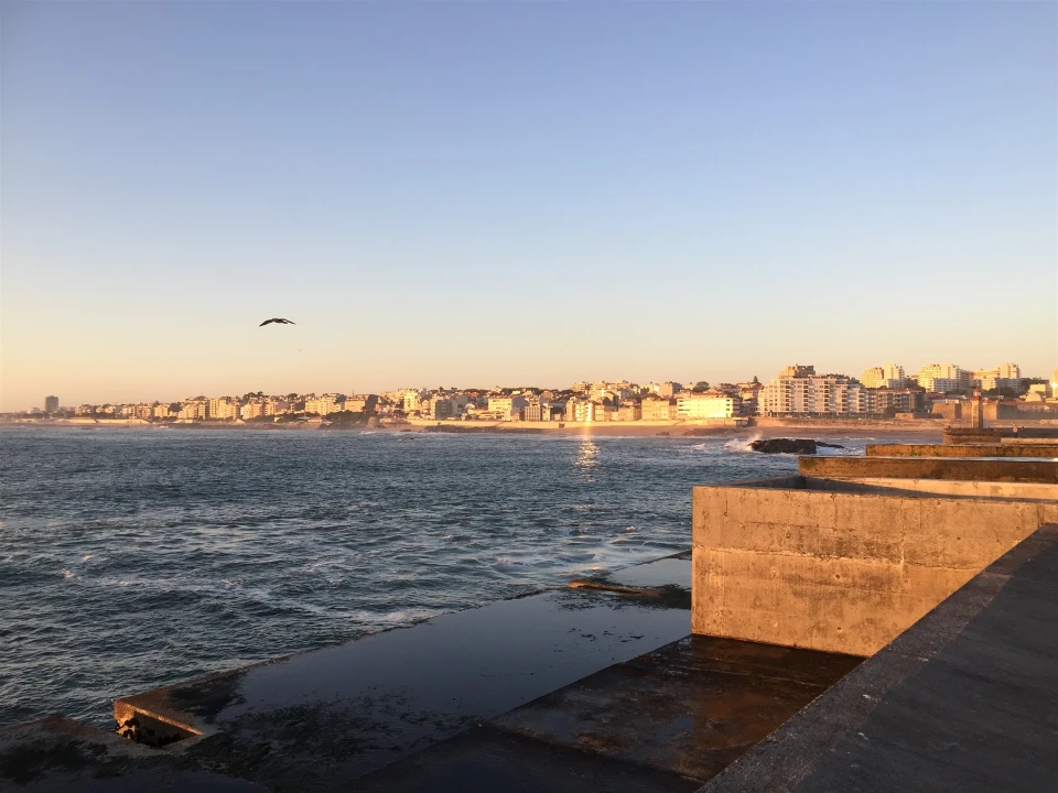 Armazém para Venda em Aldoar, Foz do Douro e Nevogilde Foto 13