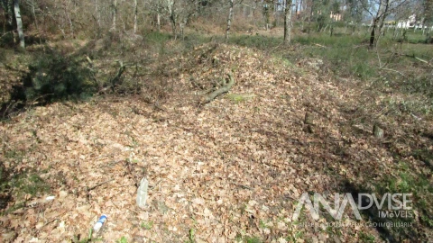 Terreno para Venda em Barreiros e Cepões