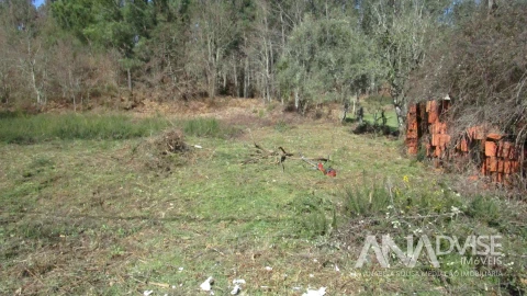 Terreno para Venda em Barreiros e Cepões