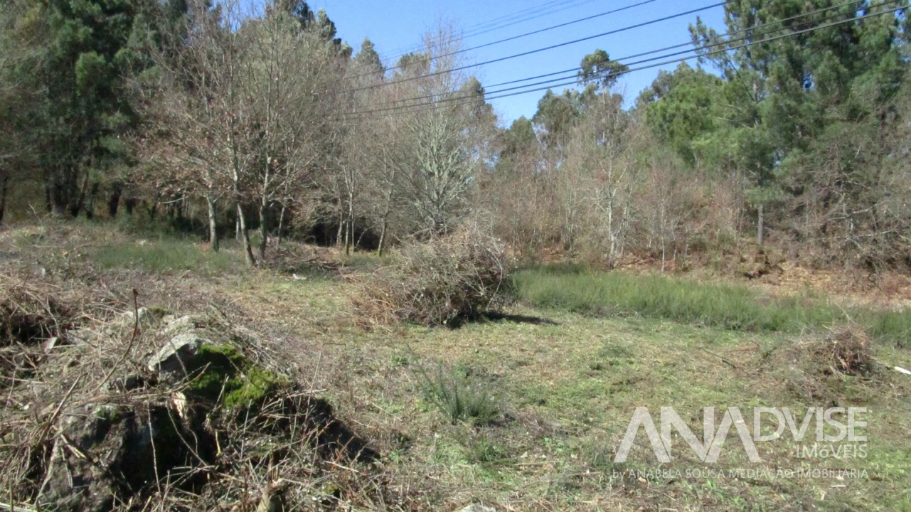 Terreno para Venda em Barreiros e Cepões Foto 7