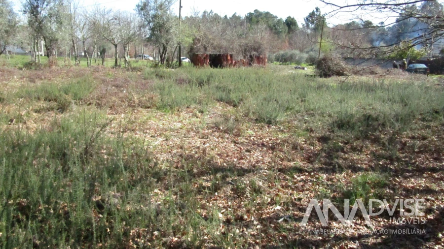 Terreno para Venda em Barreiros e Cepões