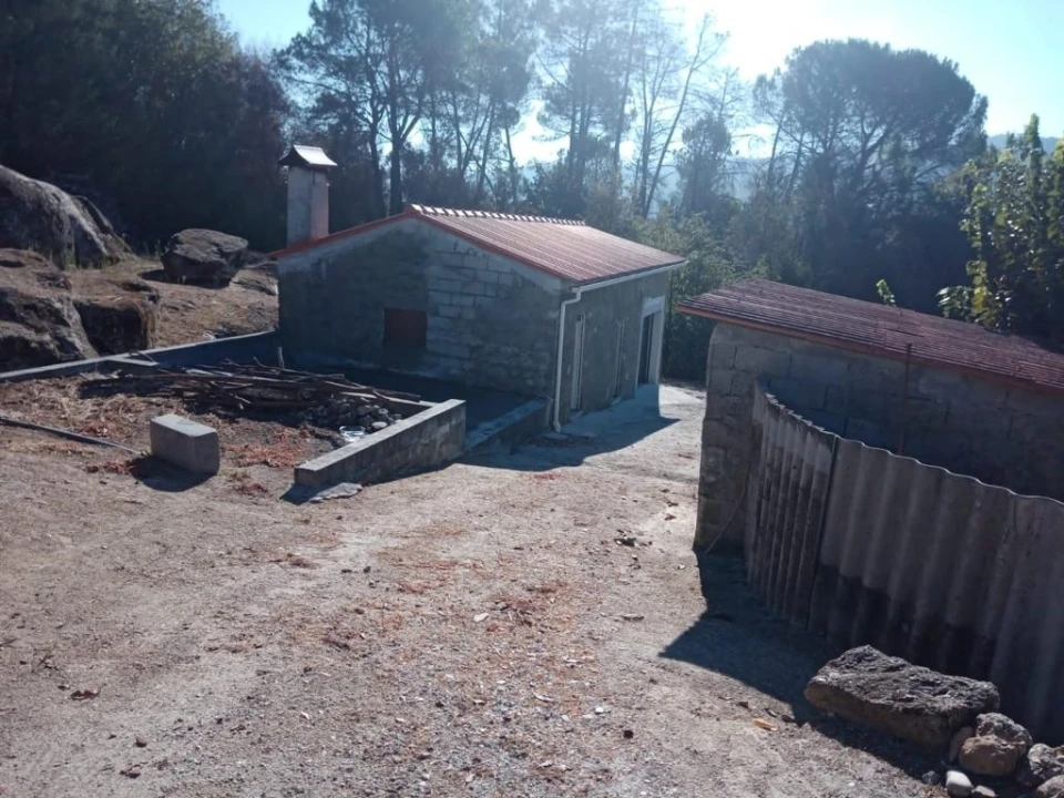 Quinta T0 para Venda em Povolide Foto 16