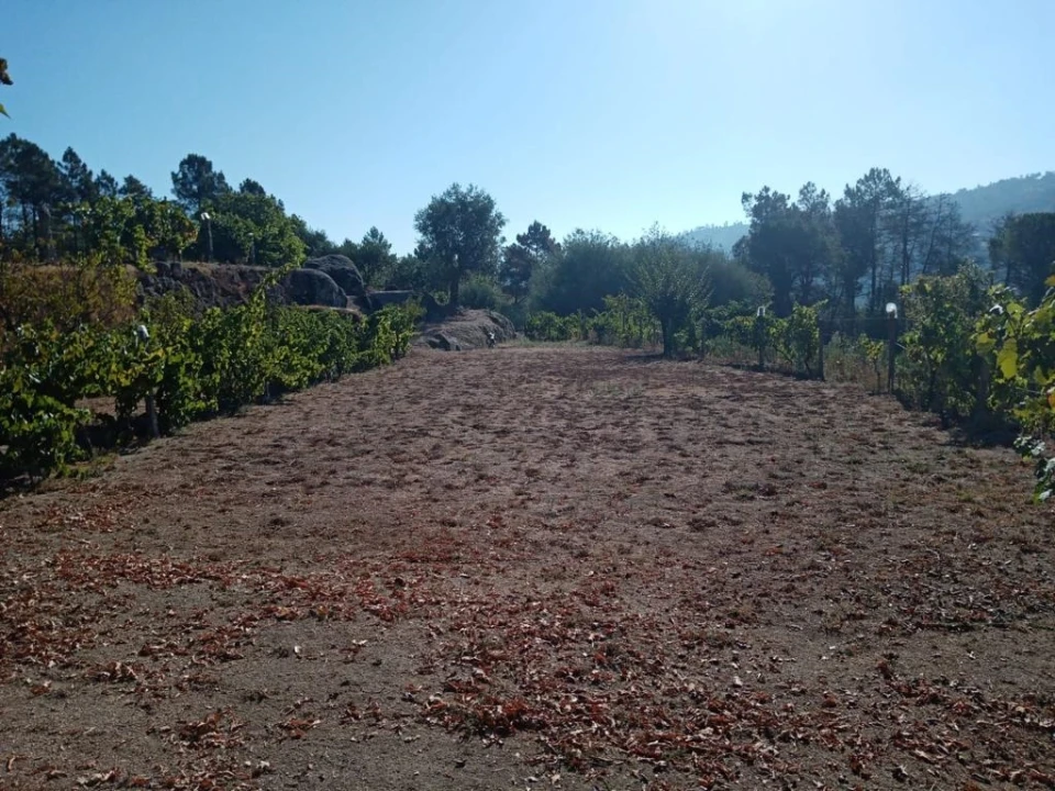 Quinta T0 para Venda em Povolide Foto 4