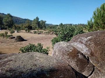 Quinta T0 para Venda em Povolide