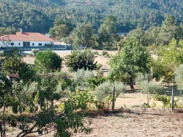 Quinta T0 para Venda em Povolide